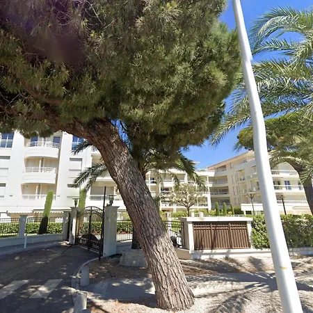 Palme Royale Scls - Wifi, Clim, Parking, Piscine Cannes